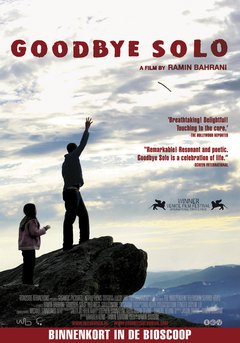 Goodbye Solo