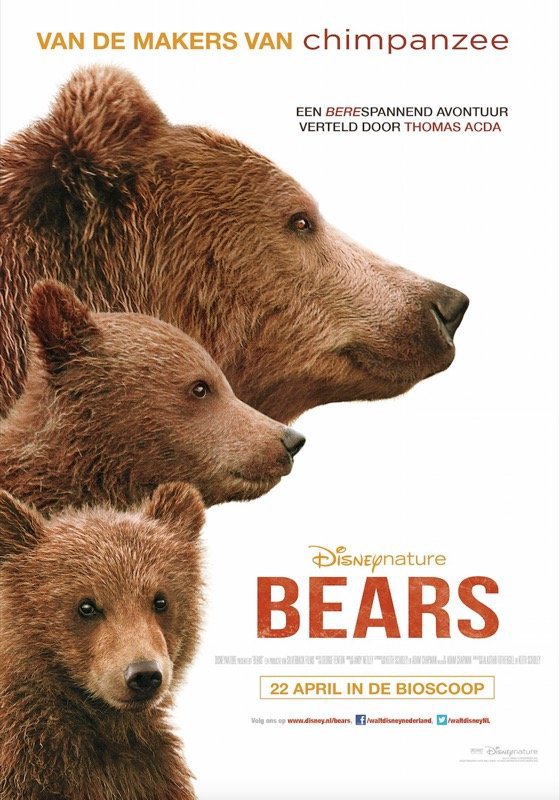Bears