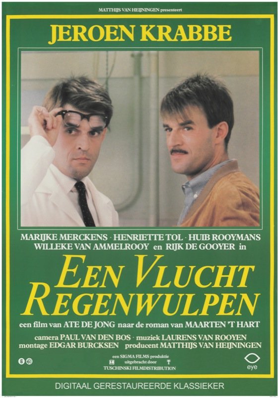 Een vlucht regenwulpen