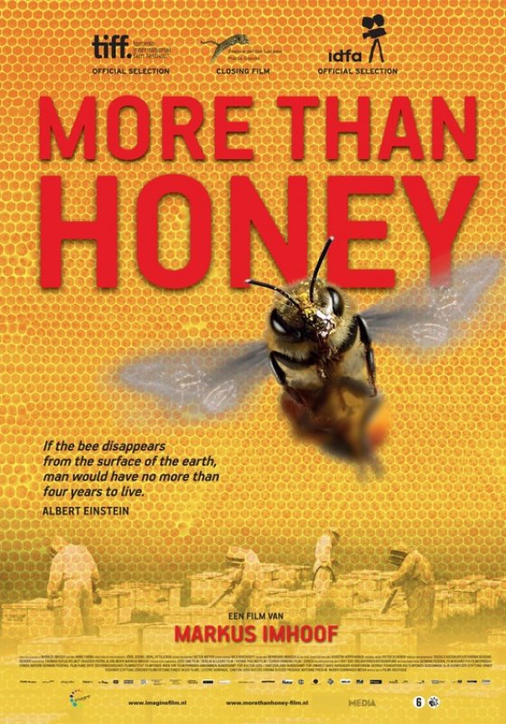 More Than Honey