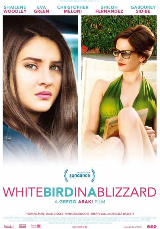White Bird in a Blizzard